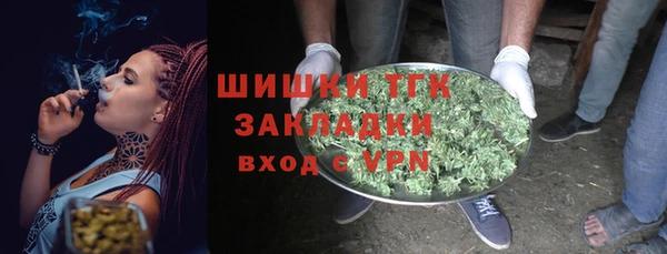 PSILOCYBIN Козельск