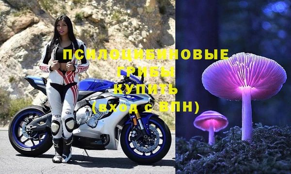 PSILOCYBIN Козельск