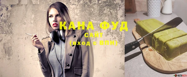 индика Фурманов