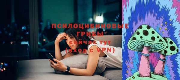 PSILOCYBIN Козельск
