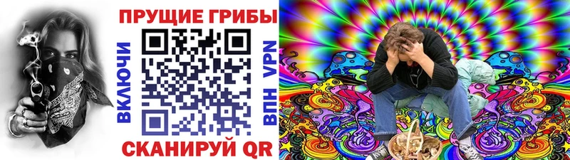 Псилоцибиновые грибы Magic Shrooms  Купить  Кологрив 